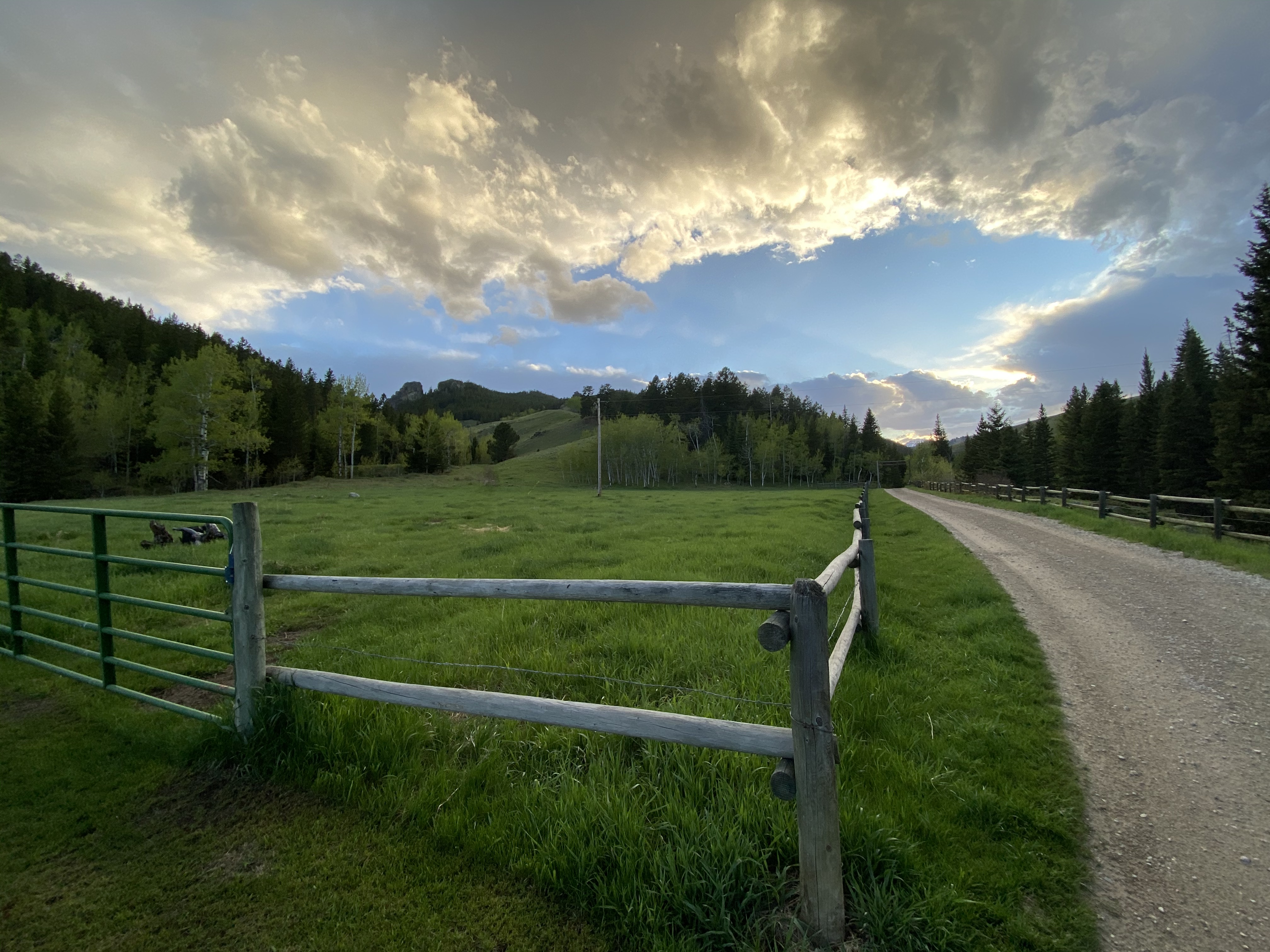 Img 2394