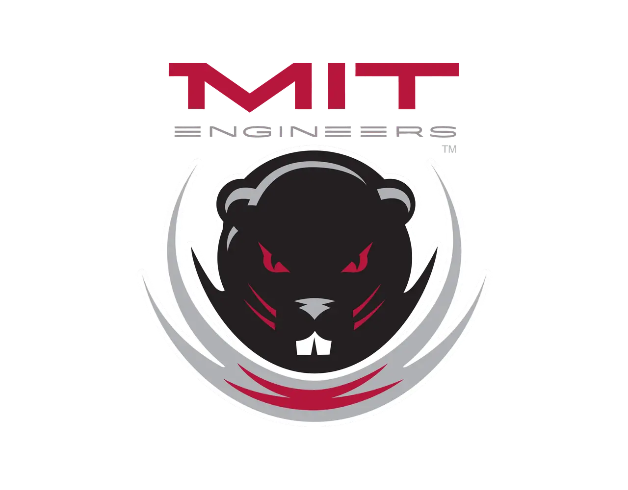 Mit engineers